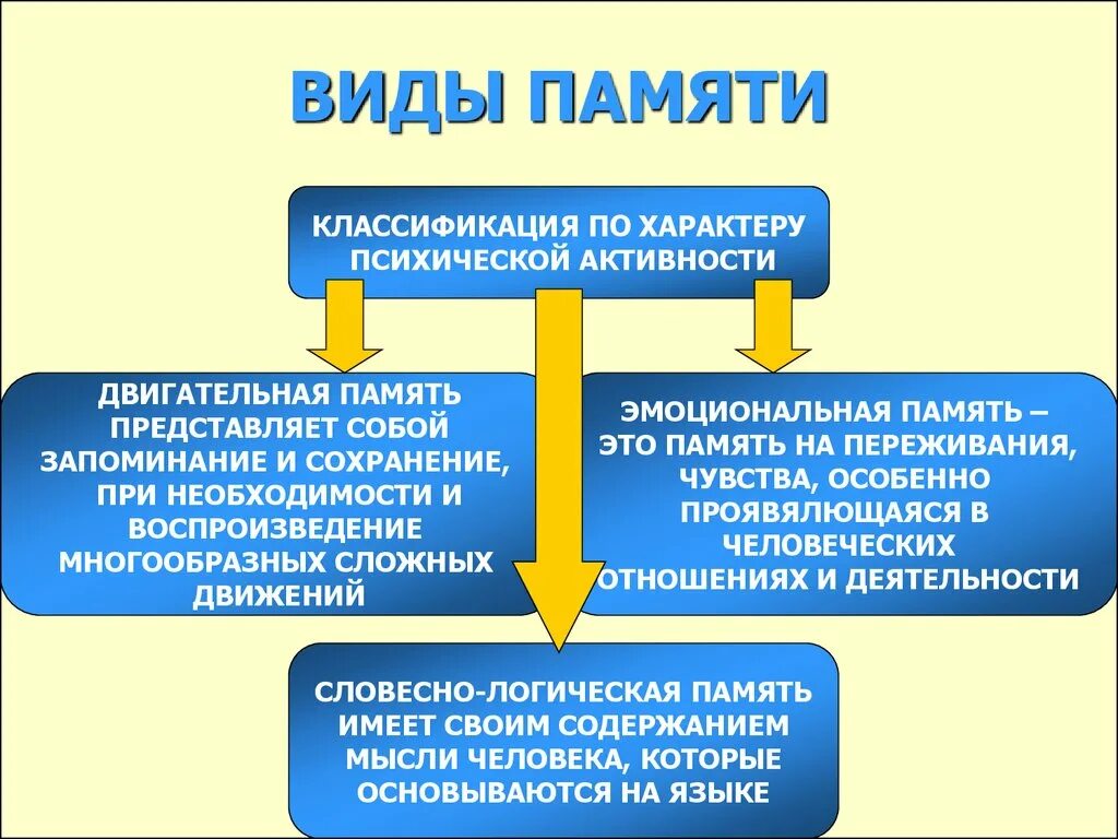 Память относится к психическим