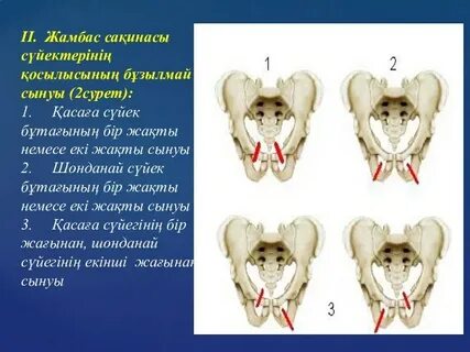 Жапондық қуыршақ бос уақытында бұзықпен жыныстық қатынасқа түседі.