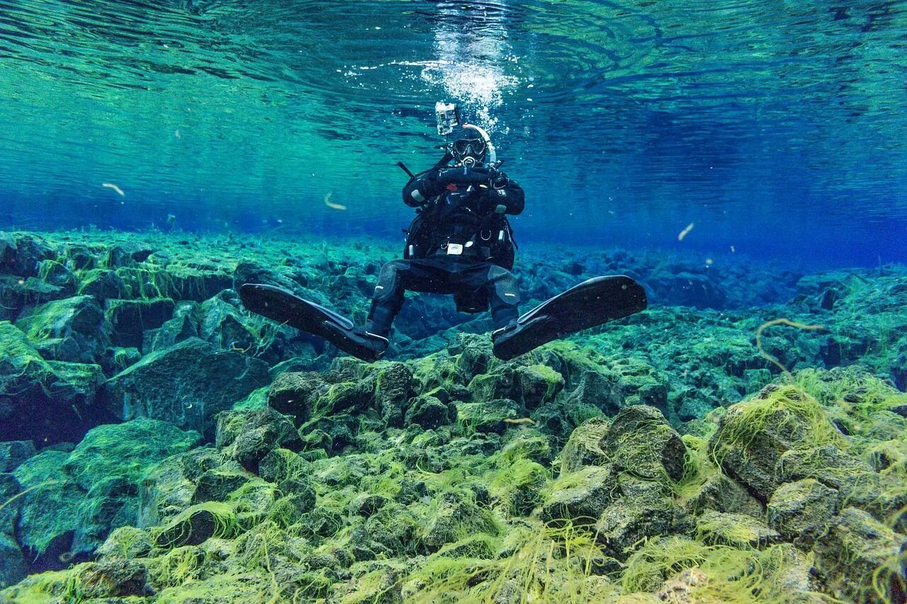 Вода дискавери. Путешествие под водой. Фото океана под водой. Дайвинг в Исландии. Дайвинг на Сахалине.