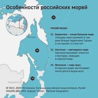 Владивосток какое море омывает