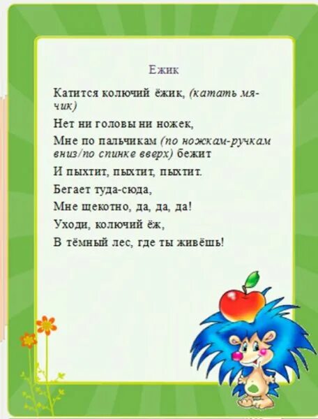 Железнова колючий ежик
