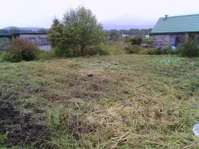 Погода соловей ключ на неделю. Соловей ключ участки приватизированные. Соловей ключ 7 площадка. Домик в лесу Соловей ключ. Соловей ключ дачи.