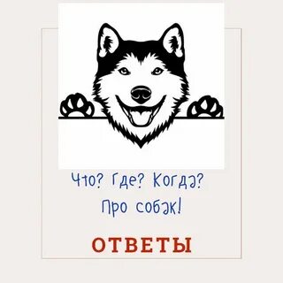Вопросы про собак