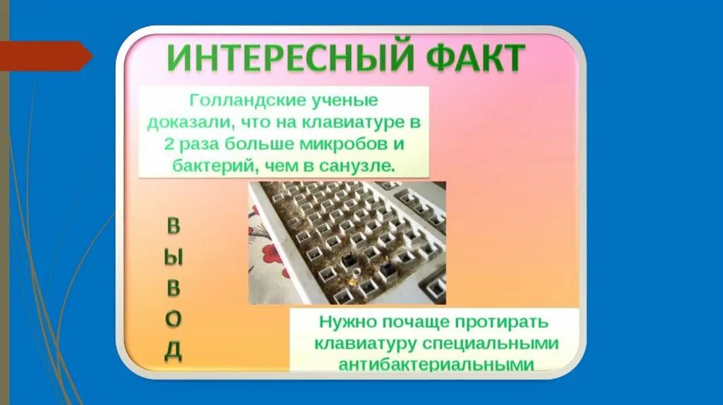 Интересные факты в информатике
