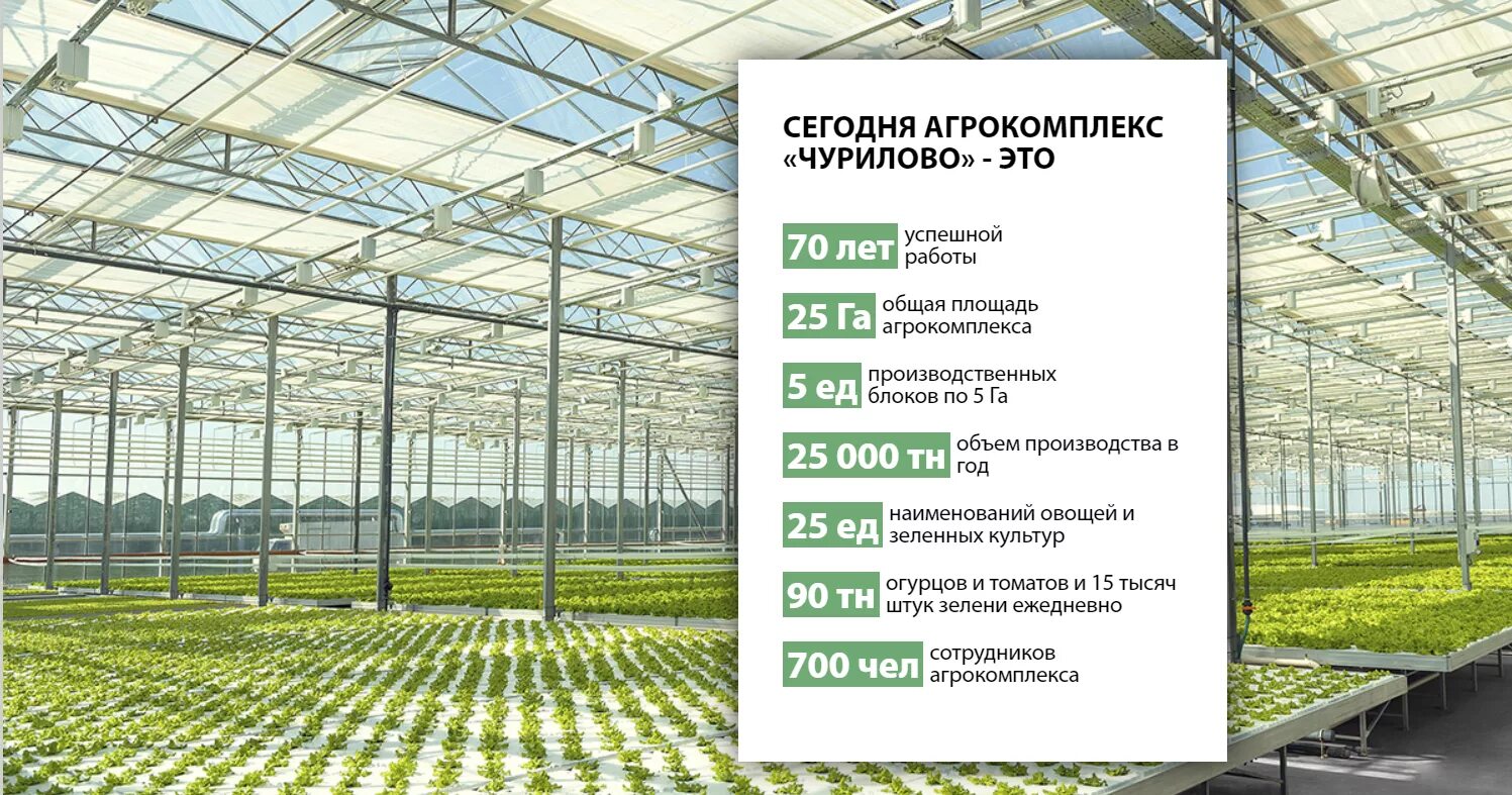 Общество с ограниченной ответственностью агрокомплекс. Агрокомплекс тепличный владимир. чурилово агрокомплекс челябинск. чурилово теплицы. латное теплицы.