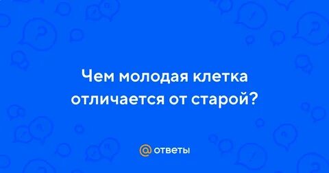 Чем отличается старая клетка от молодой