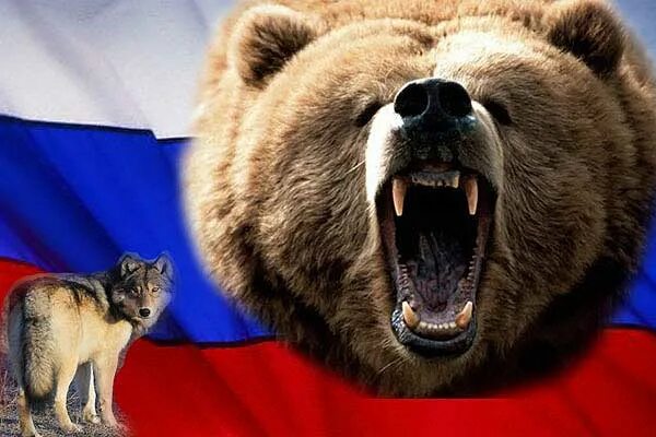 Русский медведь прозвище