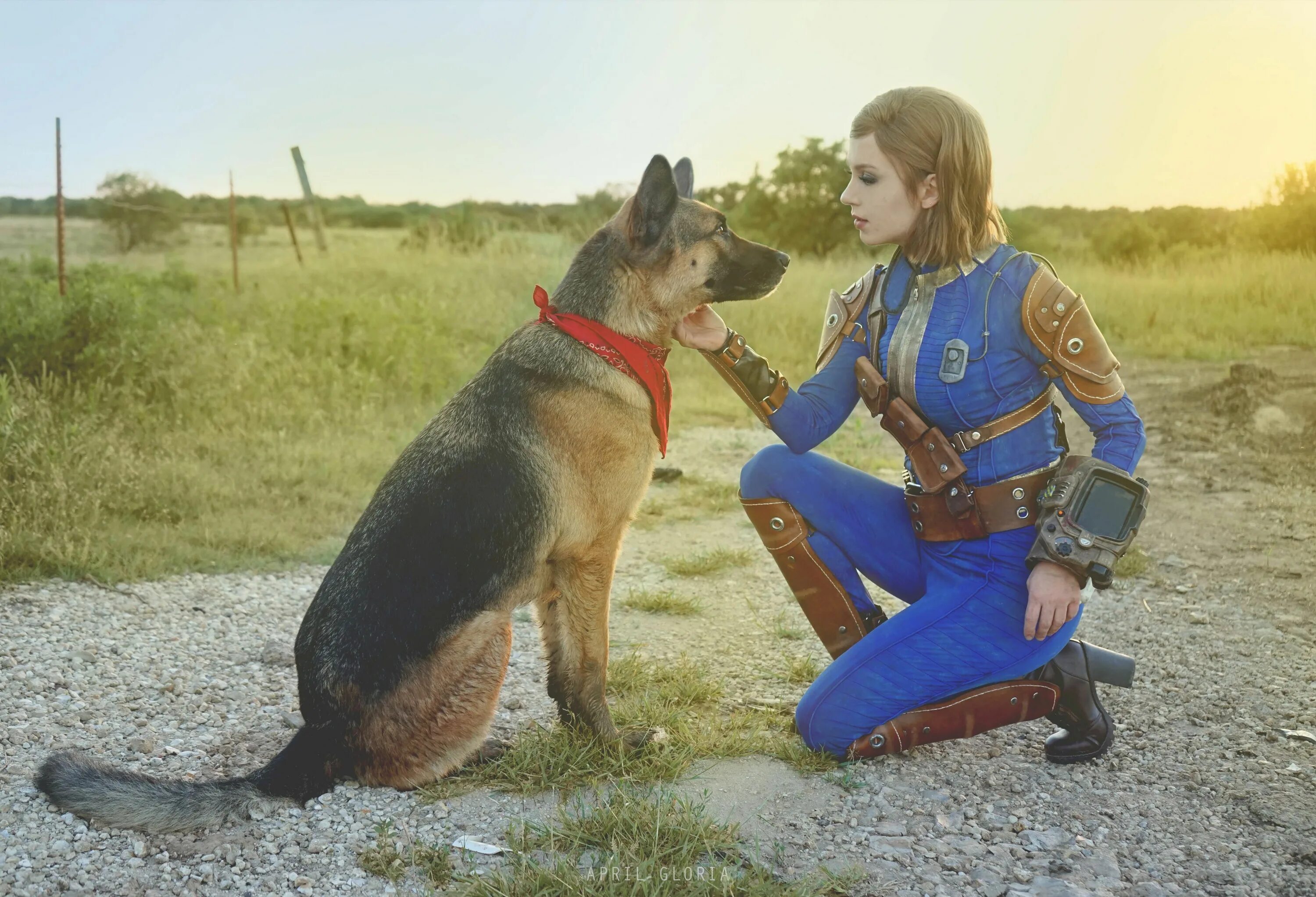 Fallout 4 lookup failed. Fallout 4 cosplay. dogmeat fallout. fallout 4 cosplay овчарка. косплей фоллаут 4 девушка.