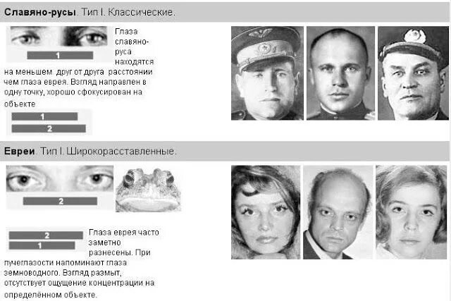 Форма головы у евреев. Еврейские черты лица. Черты лица евреев. Еврейский тип лица. Характерные черты лица евреев.