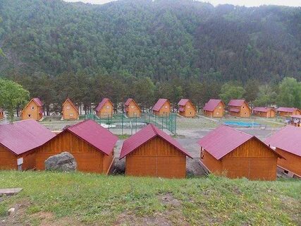 Пилигрим алтай
