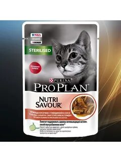 Pro plan говядина для кошек
