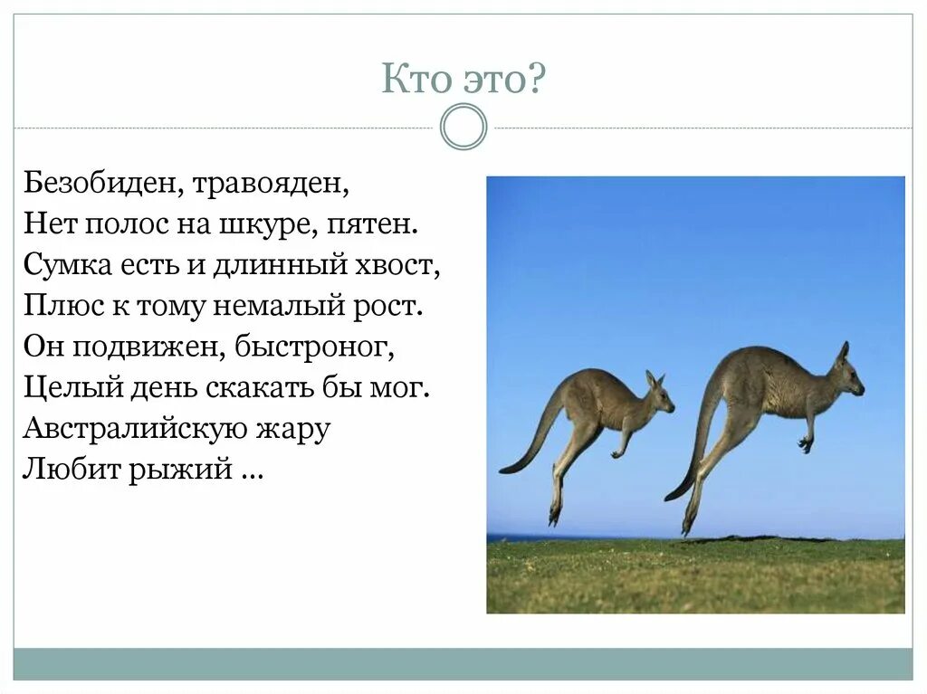 Загадки про животных жарких стран для детей. Пальчиковаяя гимнастика животные жарких стан. Загадки про животных жарких стран для детей. Животные жарких стран загадки для детей. Загадки для детей животные жарких стран.