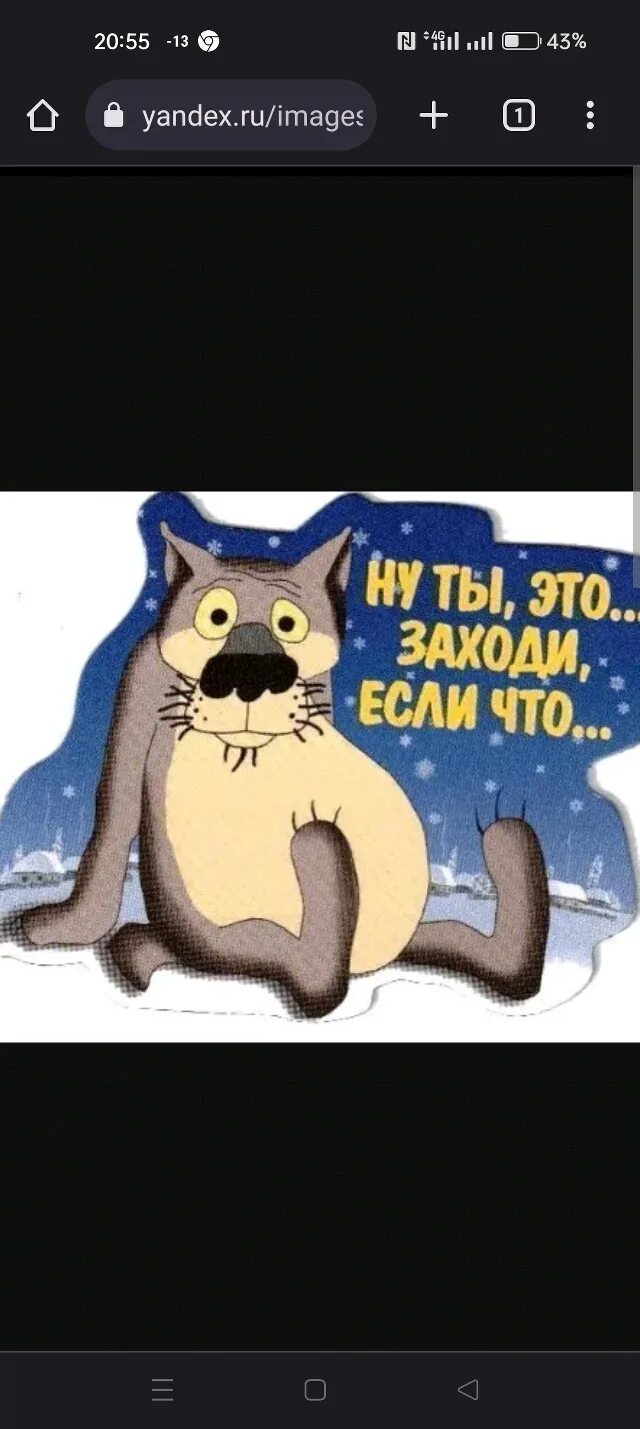 Заходи в тома. Заходи если что. ну ты это заходи если что. ты заходи если че. волк заходи если что.