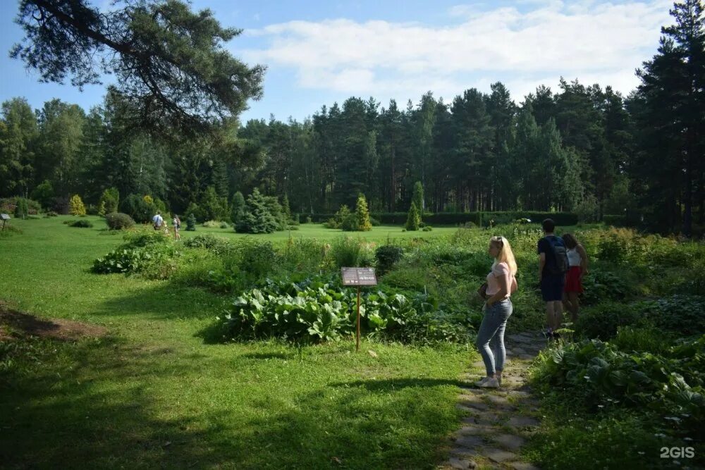 Ботанический сад петрозаводск май. Ботанический сад петргу петрозаводск зимой. Ботанический сад петрозаводского государственного университета. Ботанический сад петрозаводск зимой. Ботанический сад петргу.