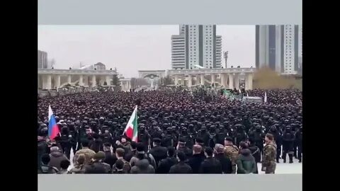 Чечня последние