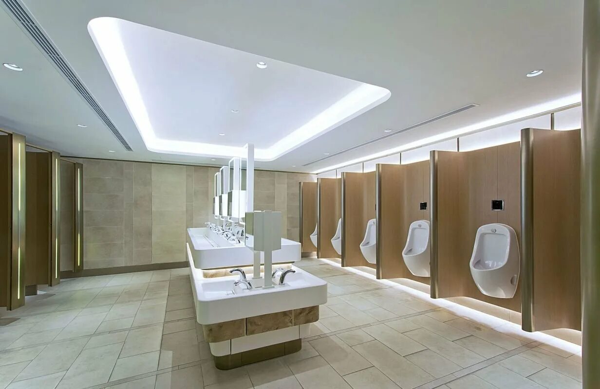 Дом мод туалет. Туалет комната. Туалетная комната классика. Красивые туалетные комнаты. Современная ванная в доме.