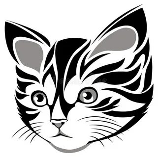 Черно белая мордочка кота