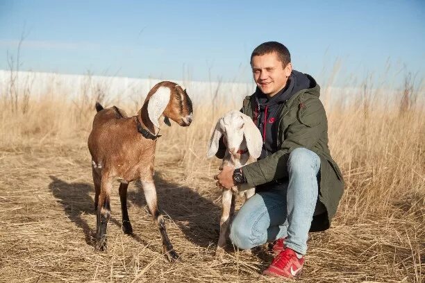 Как стать фермером книга. Как заниматься фермерством. Книги о фермерском хозяйстве. Как заниматься фермерством. Стань фермером.