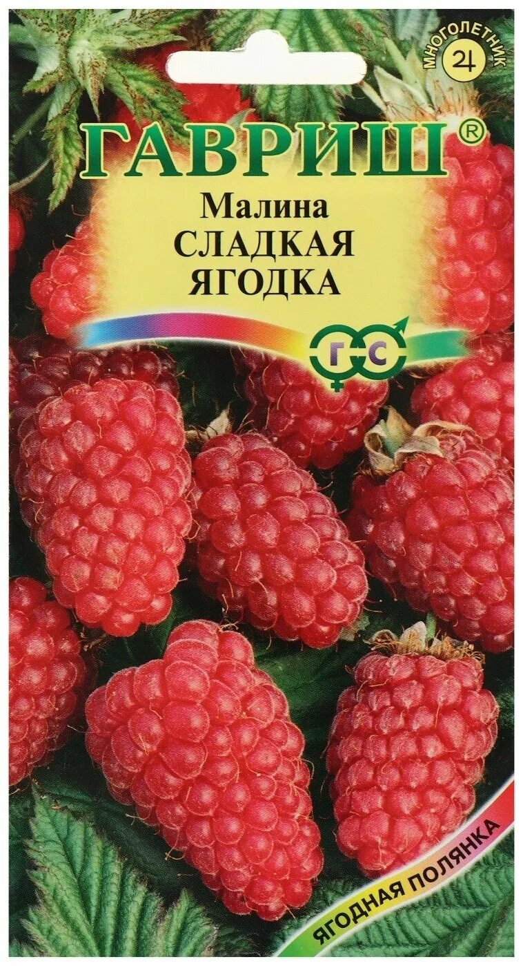 семена малины. семена малины. малина сладкая ягодка гавриш. куст малины фото. семена малины купить.