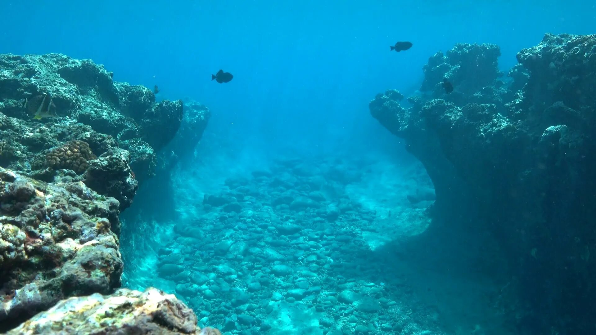 Дно моря. Подводные горы. Дно Ионического моря. Средиземное море дно.