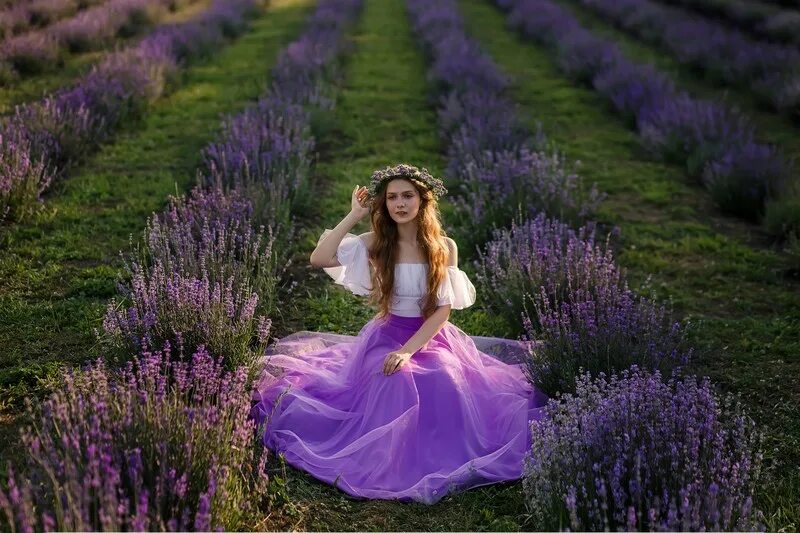 лавандовое лето солнечная ул 26 село кочетовка