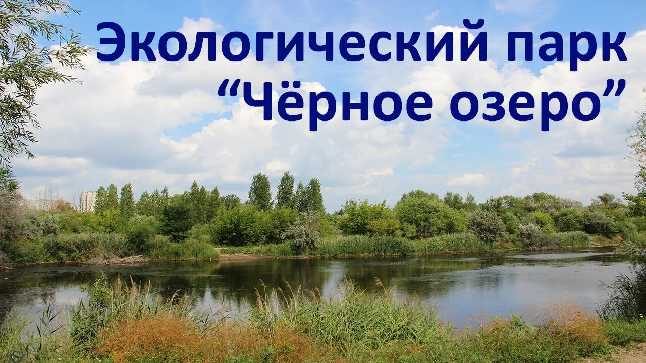 Улправда - "Чёрное озеро" может стать "жемчужиной" экотуризма