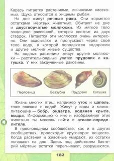 Спецификация окружающий мир 4 класс