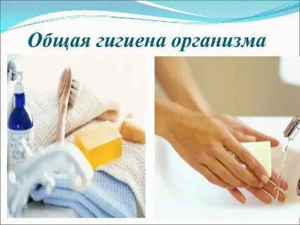 Тест гигиена основы