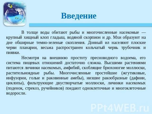 В верхнем слое воды обитает больше