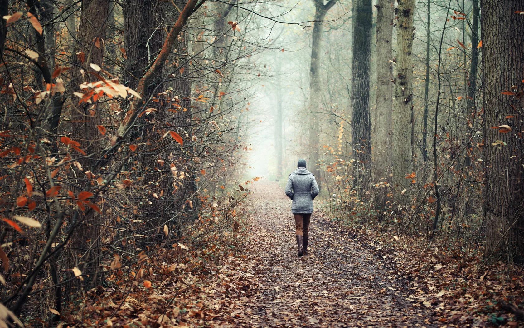 Голод осень. Прогулка по осеннему лесу. Прогулка в лесу. Осень одиночество. Поздняя осень парк люди.