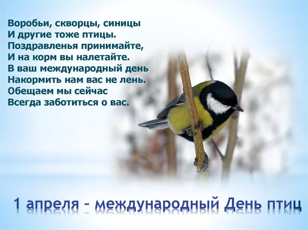 Международный день птиц. 1 Апреля Международный день птиц. С днем птиц поздравления. Международный день птиц поздравления. День птиц стихи для детей