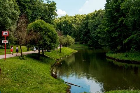Парке сама