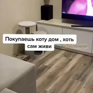 Дом хоть есть