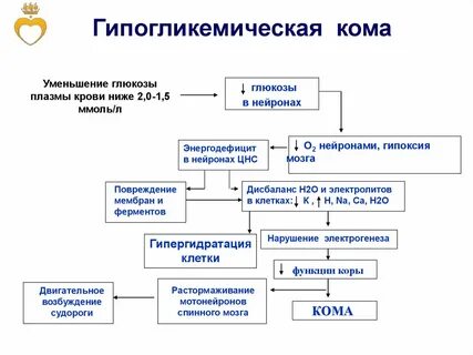 Гипогликемическая кома патогенез