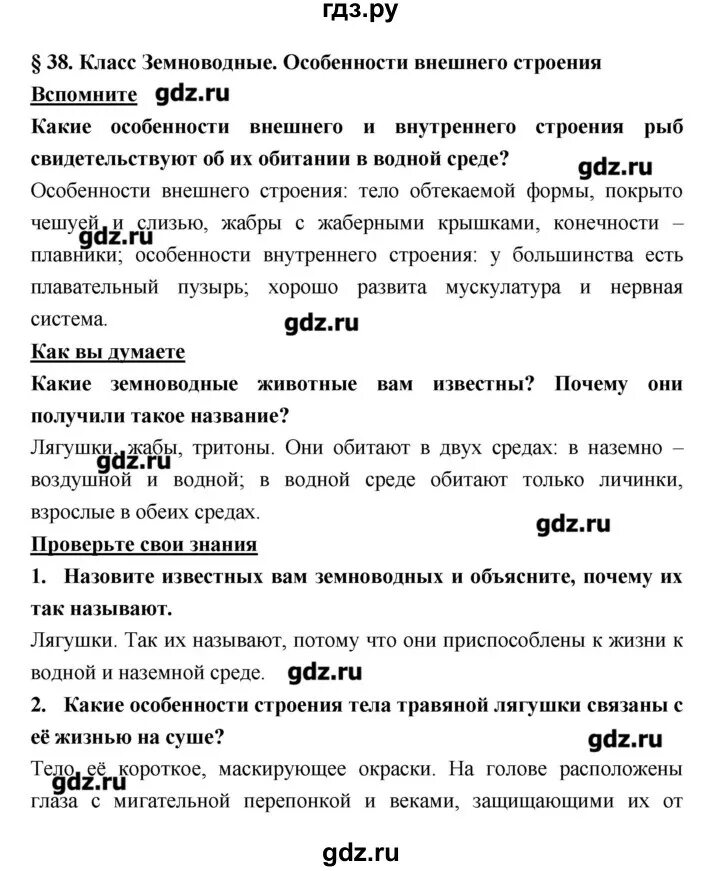 Краткое содержание 38 параграфа 5 класс. Конспект по биологии 7 класс 7 параграф. Биология 7 класс 38 параграф конспект. Биология 7 класс параграф 7. Конспект по биологии параграф 38.