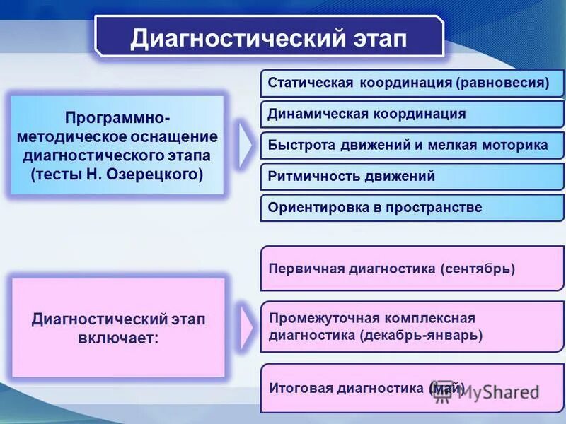 мышечная координации синергисты. координации движения динамическая. координации движения динамическая. координационные упражнения. координация определение.