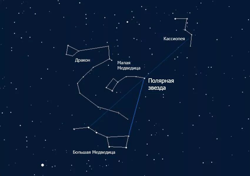 Большая медведица 2024. Созвездие Кассиопея относительно полярной звезды. Созвездие дракона относительно большой медведицы. Созвездие дракон и малая Медведица. Большая и малая Медведица Полярная звезда.