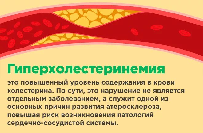 Гиперхолестеринемия. Гиперхолестеринемия уровень холестерина. Понятие о гиперхолестеринемии. Гиперхолестеринемия проявление. Наследственная гиперхолестеринемия