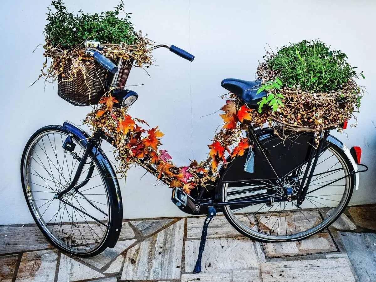Велосипед в цветах зеленый. Декорированный велосипед. Украсить велосипед. Велосипед в саду декор для сада. Велосипед цветы.