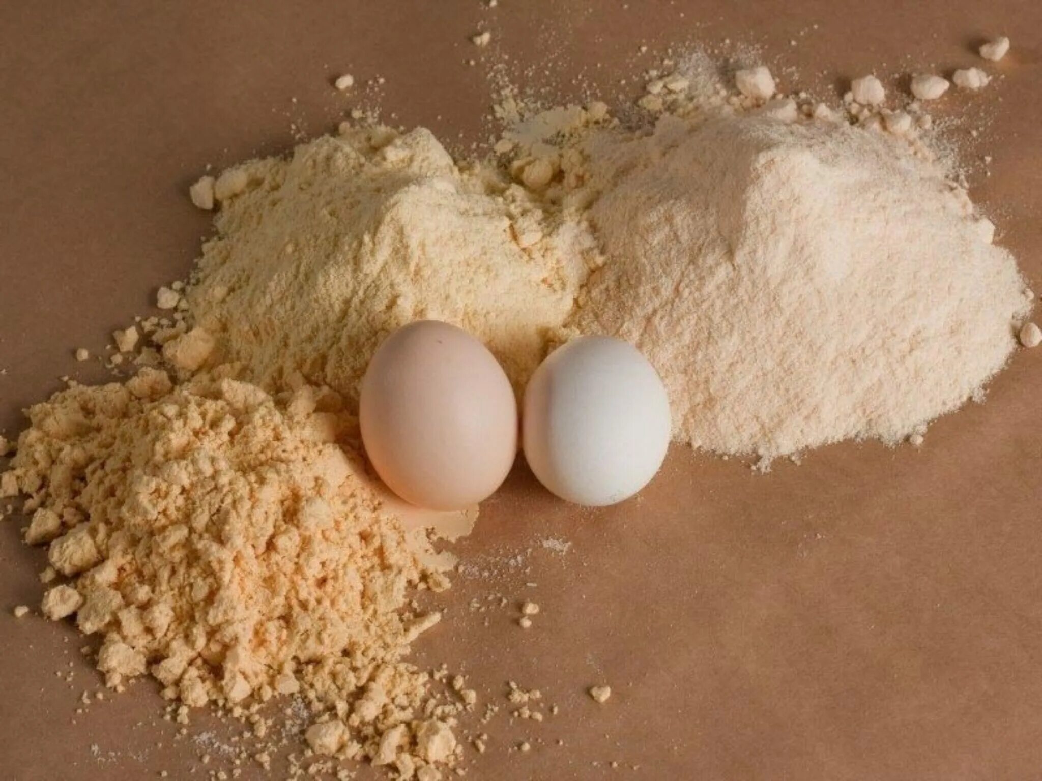 Белки яиц купить. Яичный порошок, меланж, альбумин. Yaichnyj-Zheltok порошок. Яйца, яичный меланж и яичный порошок. Альбумин сухой яичный белок.