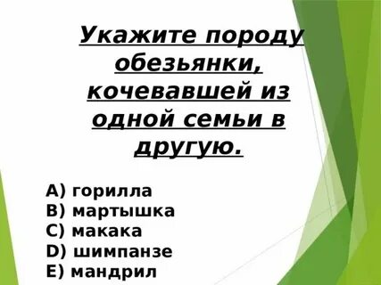 Обезьянка 3 класс литературное