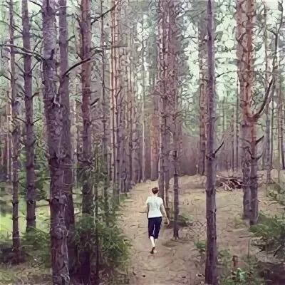 Погода в белобородово. Белобородово новосибирская область. Памятник 140 стрелковой дивизии курская область. Погода в белобородово. Школа белобородова.