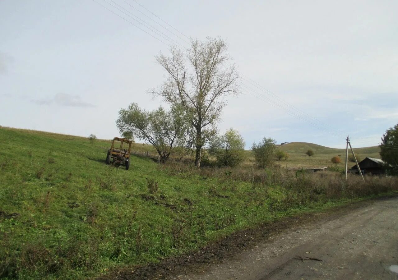с. село черновая алтайский край. озеро потрепанное алтайский край. земельные участки село алтайское. пруд хлеборобский алтайский край.