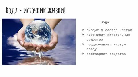 Вода и жизнь 3 класс окружающий