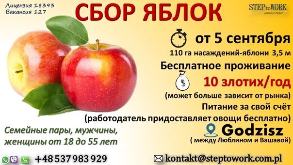 Деревня мясоедово тульская область. Магазин яблоко краснодар. Самосбор яблок. Ооо белгородские яблоки. Автоматизированный сбор яблок.