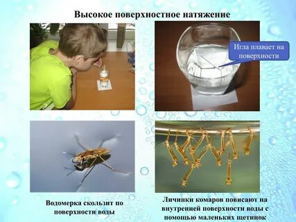 Поверхностное натяжение