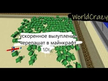 Сколько вылупляются черепахи в майнкрафт