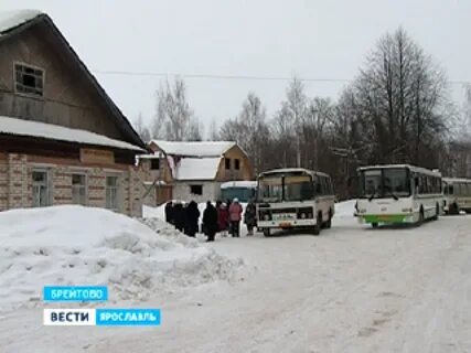 Погода брейтово ярославской