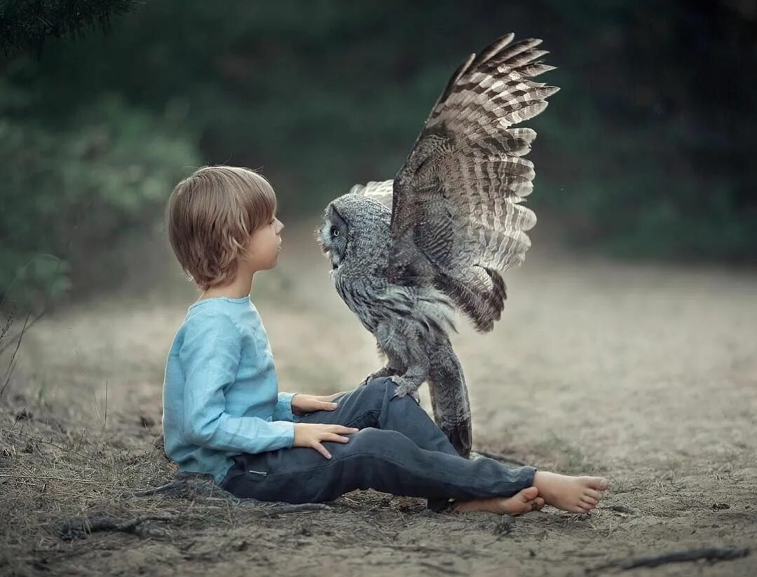 Мальчик с птичкой в руках. Девочка с птичкой рисунок. Мальчик и птица ютуб. Мальчик с птичкой рисунок. Мальчик и птица ютуб.