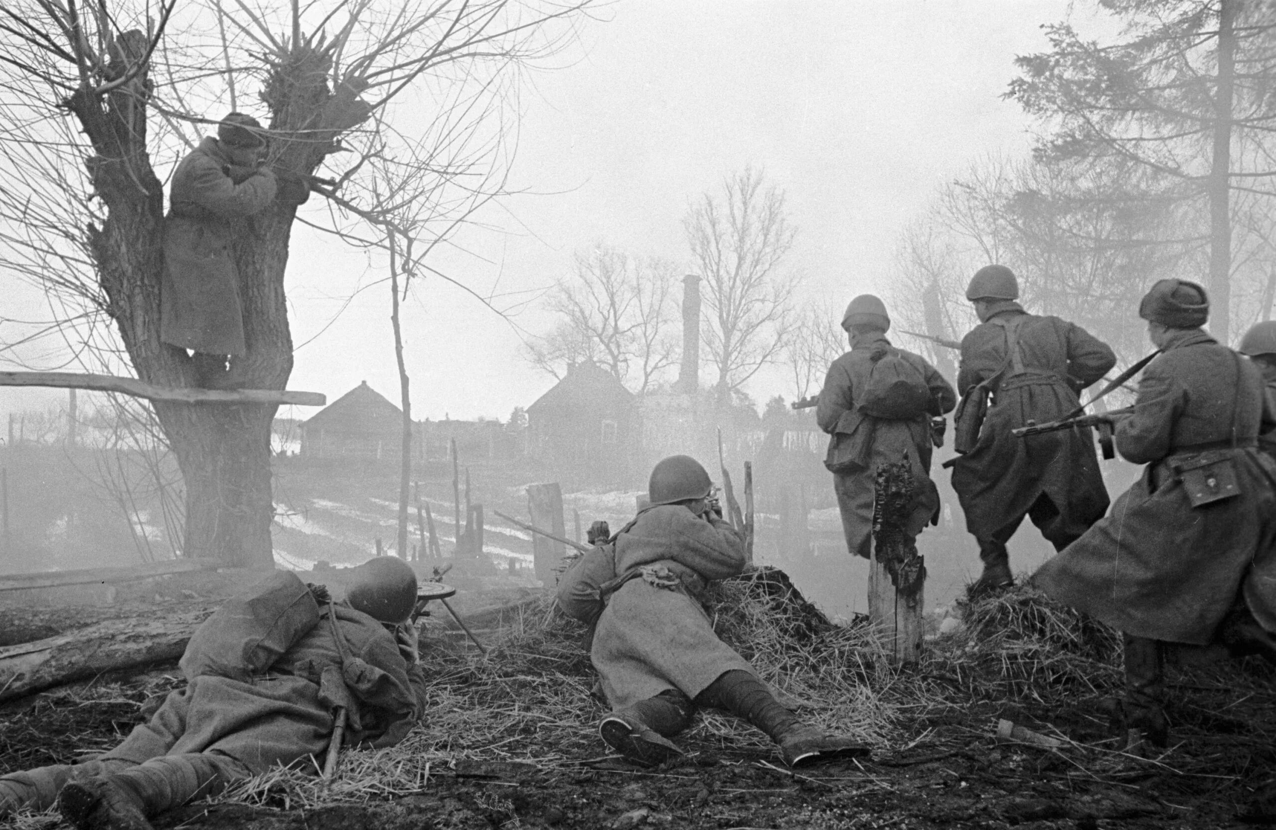 Сражения 1945 года в великую отечественную. Фотографии боев великой отечественной войны 1941-1945. 1942 год вов.